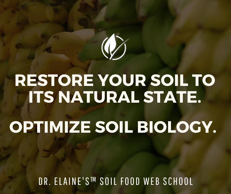 Dr. Elaine Ingham's Soil Food Web School